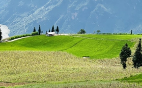 Phát hiện một thảo nguyên được du khách nhận xét "Thụy Sĩ thu nhỏ" ngay miền Bắc, cách Hà Nội gần 400km