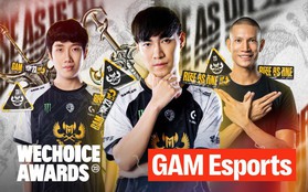 Kiaya, Levi và những mảnh ghép đặc biệt đưa GAM Esports trở thành đội tuyển biểu tượng của làng game Việt