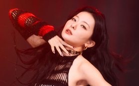 Rộ nghi vấn Seulgi (Red Velvet) bị fan cuồng rình rập, nhắn tin với nội dung quấy rối