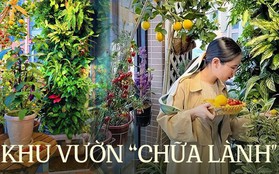 Cô gái tự tạo vườn hoa trên ban công, thu hút 100.000 lượt theo dõi và chữa lành trái tim của hàng nghìn người