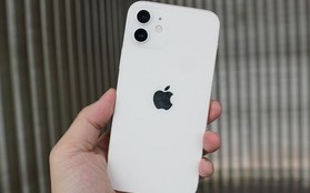 Mẫu iPhone 5G đầu tiên của Apple đang bán với giá cực rẻ, giảm đến 14 triệu đồng