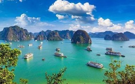 Ban đầu chọn Trung Đông, vì sao sự kiện thu hút 80.000 người tham gia, 200 tỷ phú từ châu Âu đổi ý, lựa chọn vịnh Hạ Long là điểm đến?