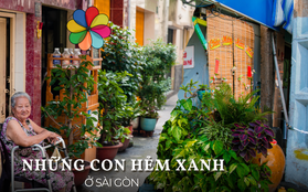 Thích mê khi dạo những "con hẻm xanh" ở Sài Gòn, ước sao người dân nơi nào cũng đồng lòng như thế!