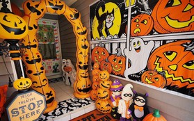 Hòa mình vào không khí Halloween với những bí kíp “đỉnh nóc” tạo nên bữa tiệc ma mị