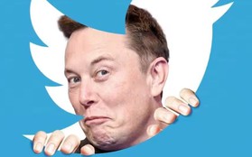 Đánh bại Elon Musk không dễ: Twitter từng bị tổ chức 'tang lễ' giờ vẫn sống, hàng chục ứng dụng tưởng có thể thay thế đều đóng cửa, Threads cũng không đủ trình đối đầu