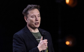 Elon Musk bị tố từng sống "chui" ở Mỹ