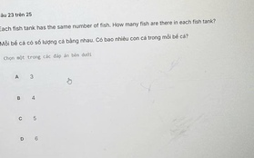 Bài toán "gây lú" nhất hiện tại: "Mỗi bể có số lượng cá bằng nhau, hỏi có bao nhiêu cá trong mỗi bể?"