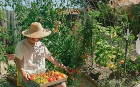 Cặp đôi chuyển từ nhà phố về ngoại ô vì yêu nghề nông, trồng khu vườn rau quả khiến dân mạng trầm trồ không ngớt