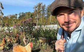 David Beckham bỏ phố về quê "nuôi cá, trồng rau" trong nông trại giá 350 tỷ đồng