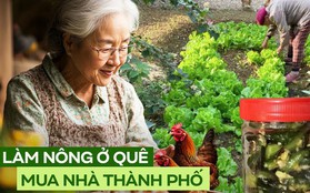 Nói đến tiết kiệm, tôi chắc chắn phải học rất nhiều từ mẹ chồng, người đã mua được 2 căn nhà từ nghề làm ruộng