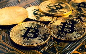 Giá Bitcoin vừa vượt đỉnh lịch sử đã tiếp tục lập đỉnh mới!