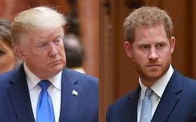 Nguy cơ của Harry khi ông Trump trở lại Nhà Trắng