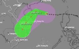 Bão số 7 duy trì cấp 14 trên Biển Đông, hướng về vùng biển Quảng Trị-Quảng Ngãi