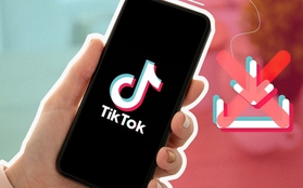 Apple, Google chuẩn bị phải xóa TikTok khỏi các cửa hàng ứng dụng?