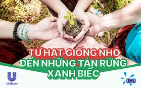 Một triệu cây xanh mang hành trình gieo mầm hy vọng trải dài từ Bắc chí Nam