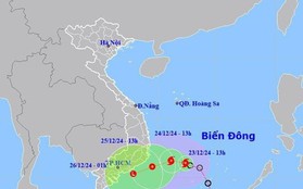 Bão số 10 mạnh cấp 8, các tỉnh từ Phú Yên đến Cà Mau chủ động ứng phó