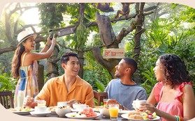 Đổi gió hành trình khám phá với loạt địa điểm brunch “cực nghệ” tại Singapore