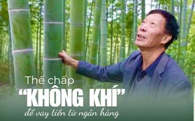 Nhận 1,2 tỷ dù không cần thế chấp nhà, xe: Cách đầu tư mới khiến nhiều người bất ngờ