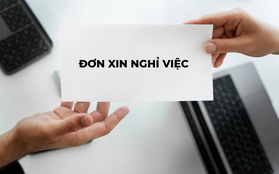 Tôi chỉ chờ nhận thưởng Tết xong là bỏ việc mà không hề áy náy