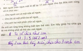 Bài toán "chia đều 17 con ngựa cho 3 người" gây bão mạng