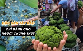 Món ăn được mệnh danh “chỉ dành cho người chung thủy”, cả năm mới có một mùa ở Tây Bắc khiến dân tình háo hức muốn thử