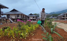 Người dân Làng Nủ dựng vườn, trồng hoa chuẩn bị về nhà mới