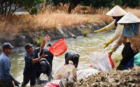 Thức dậy từ 2h sáng rửa kiệu, “vui như Tết”