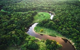 Phát hiện nền văn minh cổ đại dưới tán rừng Amazon