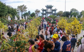 Chen chân lễ Phật, cầu an tại ngôi chùa nổi tiếng linh thiêng nhất Đà Nẵng