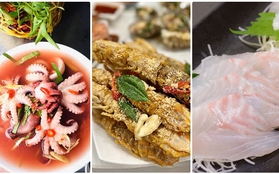 3 loại hải sản giá đắt nhất trong hóa đơn mùng 6 Tết ở Quảng Ninh là gì? Có loại làm món sashimi rất ngon