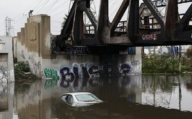 Mỹ: Bang California hứng đòn kép từ "sông khí quyển", xe ngập đến nóc