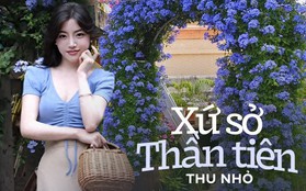 Người phụ nữ xinh đẹp đã biến loài hoa như bông tuyết xanh thành thác nước, kết quả thật ngoạn mục!