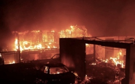 Cháy rừng khiến ít nhất 51 người chết, đe dọa các khu đô thị ở Chile