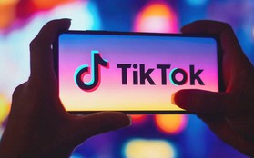 Thế giới ra sao khi không có TikTok?