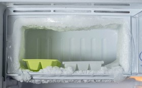 Bỏ thứ này vào tủ lạnh, không sợ tủ đóng tuyết