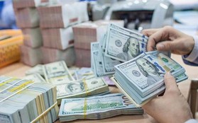 Giá USD ngân hàng tăng mạnh, có nơi vượt 25.000 đồng/USD