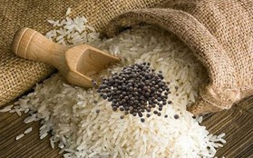 Cho một nắm hạt tiêu vào thùng gạo có công dụng gì?