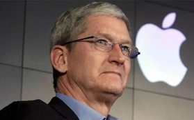 Những câu nói "để đời" của CEO Apple Tim Cook: Nhiều khi trong cuộc sống, thà dựa vào trực giác!