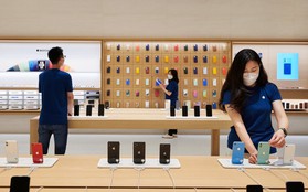 Tin được không, Apple để "thất lạc" gần 100.000 chiếc iPhone và nơi chúng "hạ cánh" rất thú vị?
