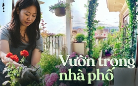 Bất chấp nhiều phản đối, tôi vẫn nhất quyết mua căn chung cư ở tầng cao nhất và biến ban công thành một khu vườn