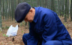 Lão nông bỗng đổi đời nhờ đào được HÒN ĐÁ lạ: Chuyên gia khẳng định đó là “báu vật” giá 2.000 tỷ đồng