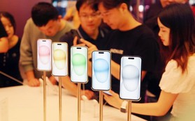 Apple mất ngôi vương tại thị trường Trung Quốc: Cái tên dẫn đầu không phải Samsung mà là một hãng điện thoại mới quay trở lại Việt Nam