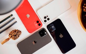 Không tưởng điều vừa xảy ra với mẫu iPhone từng ''sốt xình xịch'', cháy hàng chỉ trong vài giây?