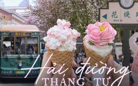 Mùa hoa hải đường cực hút khách ở thành phố Trung Quốc: Đứng góc nào cũng có ảnh đẹp, món "kem hoa" tuyệt phẩm đang rần rần khắp cõi mạng