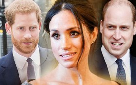 Harry lên kế hoạch làm hòa với William nhưng sẽ không hành động nếu Meghan không muốn