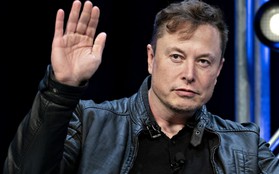 Elon Musk tiếp tục gây choáng váng: Sa thải toàn bộ bộ phận Supercharger, 500 người từ nhân viên tới lãnh đạo ngơ ngác không hiểu vì sao mất việc