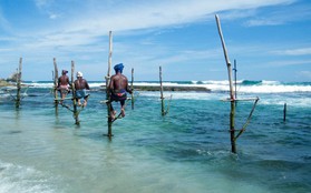 Thiên đường du lịch Maldives bị tẩy chay vì quan chức "vạ miệng", một quốc đảo hưởng lợi bất ngờ khi du khách tới từ quốc gia đông dân nhất thế giới tăng gấp 3