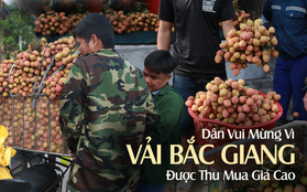 Người dân Bắc Giang vui mừng vì vải được thu mua với giá cao