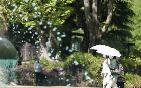Tháng 4 ấm nhất trong gần 130 năm tại Nhật Bản