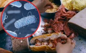 Vi khuẩn Salmonella được tìm thấy trong bánh mì khiến hơn 500 người ngộ độc ở Đồng Nai nguy hiểm thế nào?